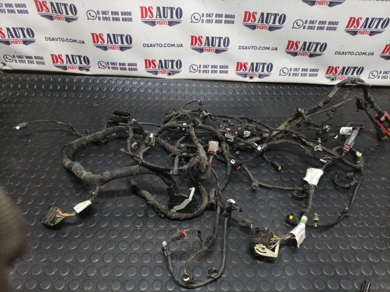 Проводка моторная Ford Escape 2020 Mk4 1.5 jx7t12c508na Б/У