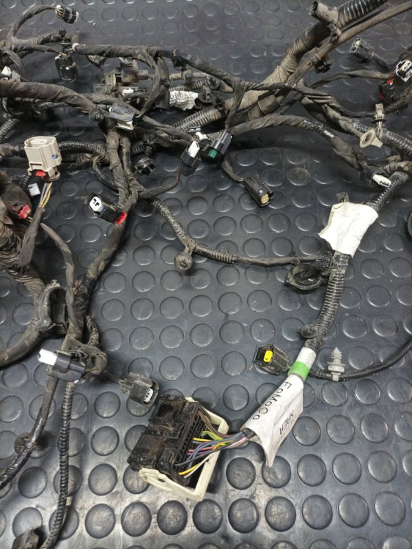 Проводка моторная Escape 2020 Mk4 1.5