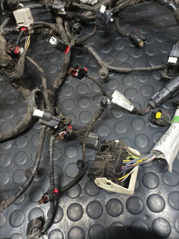 Проводка моторная Escape 2020 Mk4 1.5