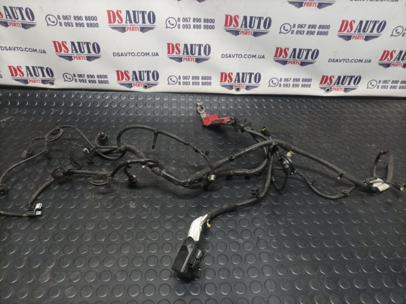 Клемма аккумулятора Ford Escape 2020 Mk4 1.5 lx6t14b060 Б/У