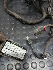 Проводка моторная Ford Escape Mk4 1.5